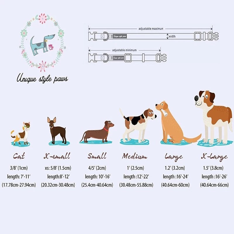 Velvet Dog Leash & Collar