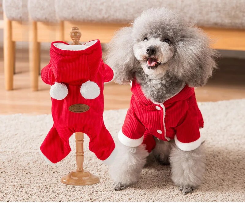 43254434300073|43254434332841|43254434365609|43254434398377|43254434431145|43254434463913