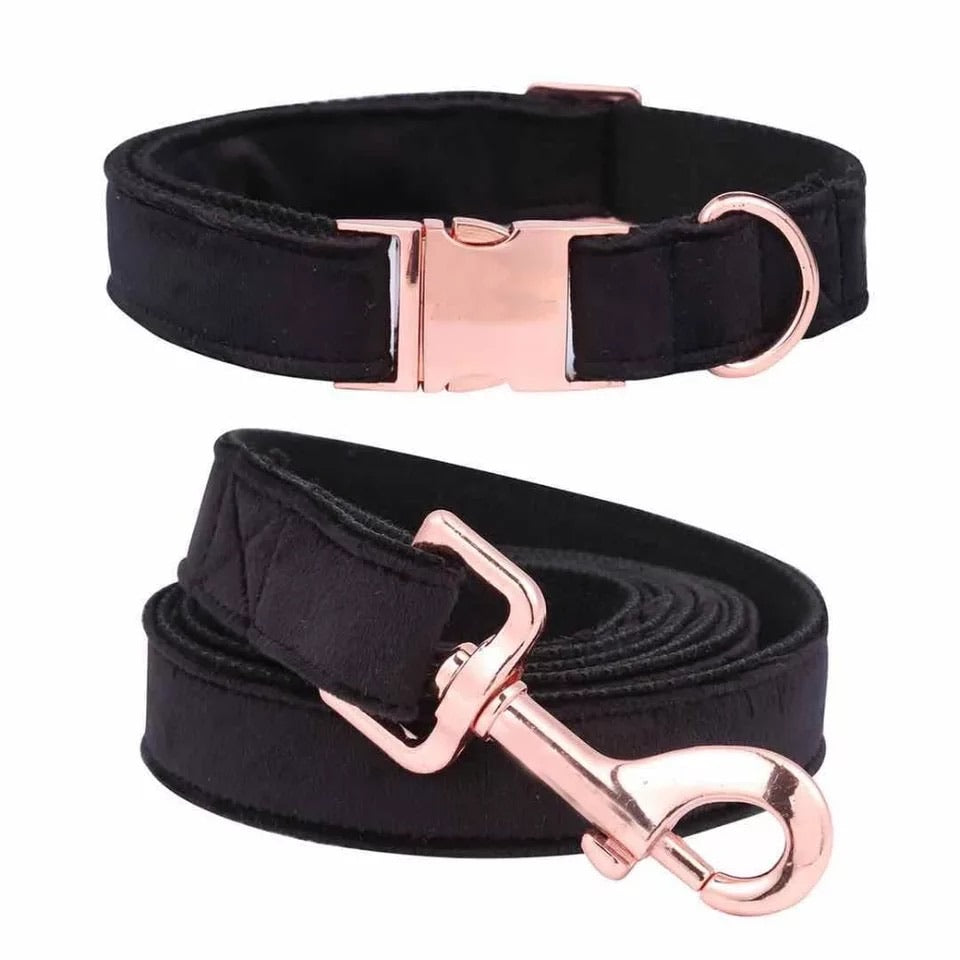 Velvet Dog Leash & Collar