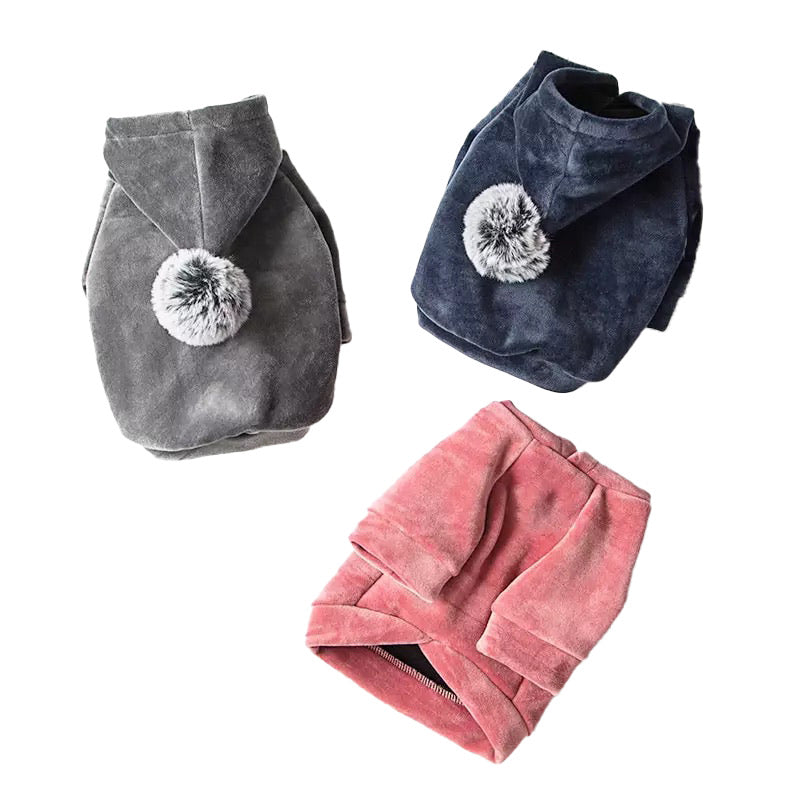 Small Dog Velvet Jacket