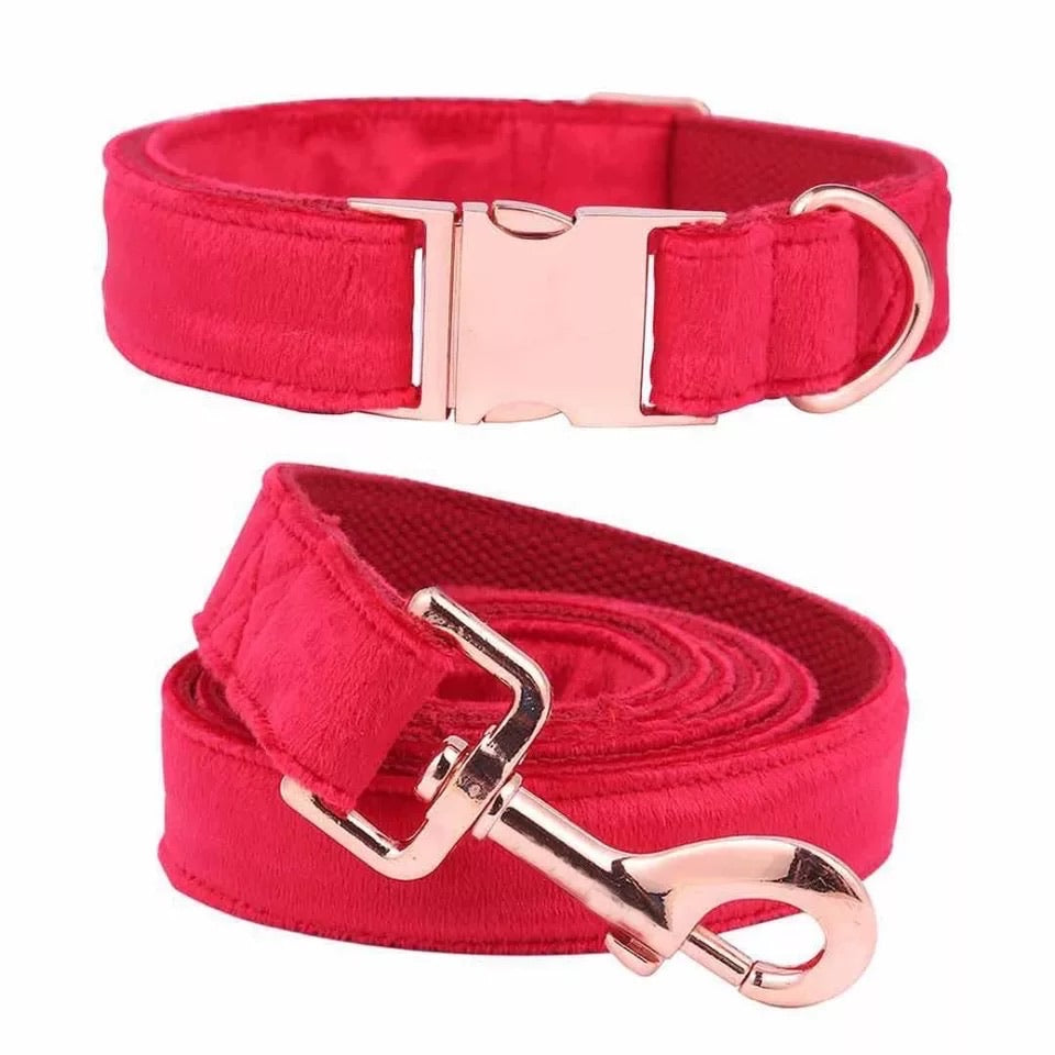 Velvet Dog Leash & Collar