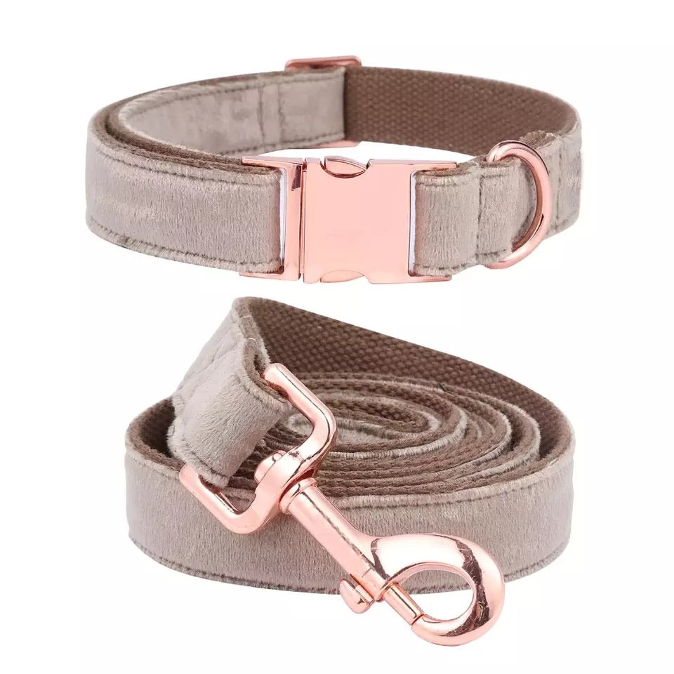 Velvet Dog Leash & Collar