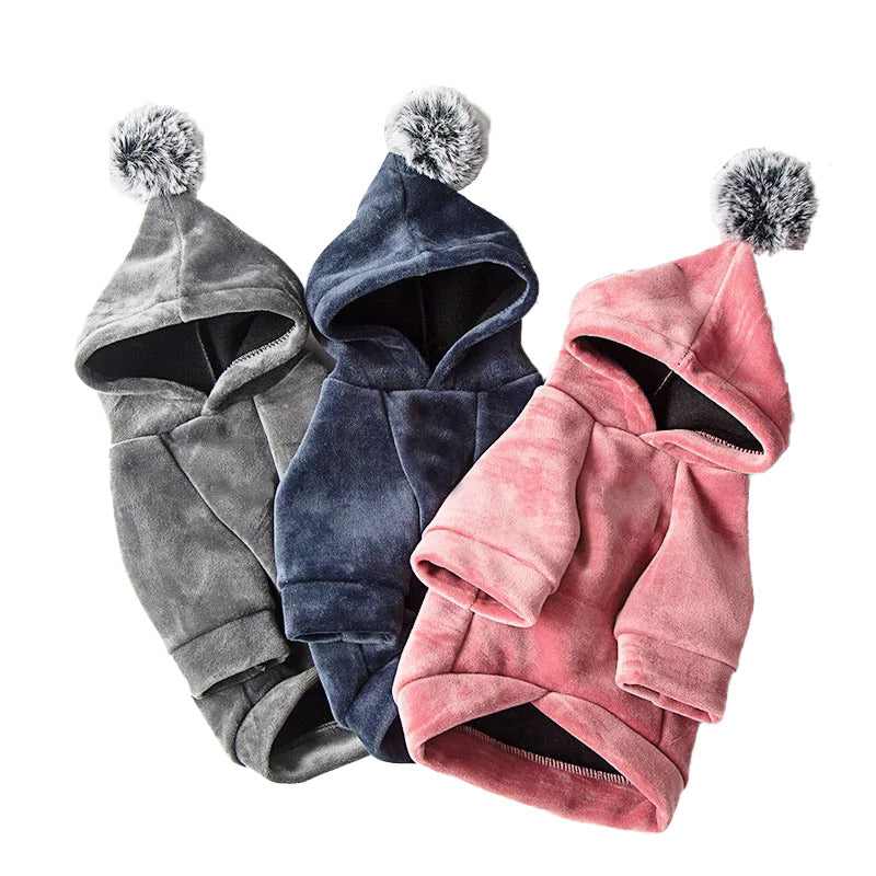 Small Dog Velvet Jacket