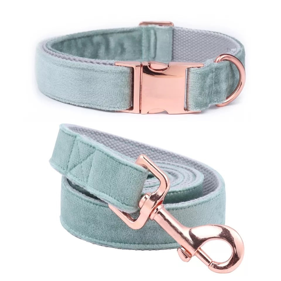 Velvet Dog Leash & Collar