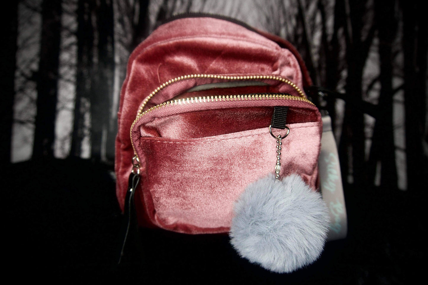 Small Velvet Backpack